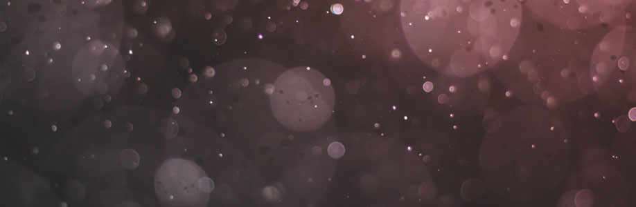 Lucinda Workman Cover Image